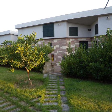 Borgo Piazza Bed & Breakfast Катандзаро Екстериор снимка