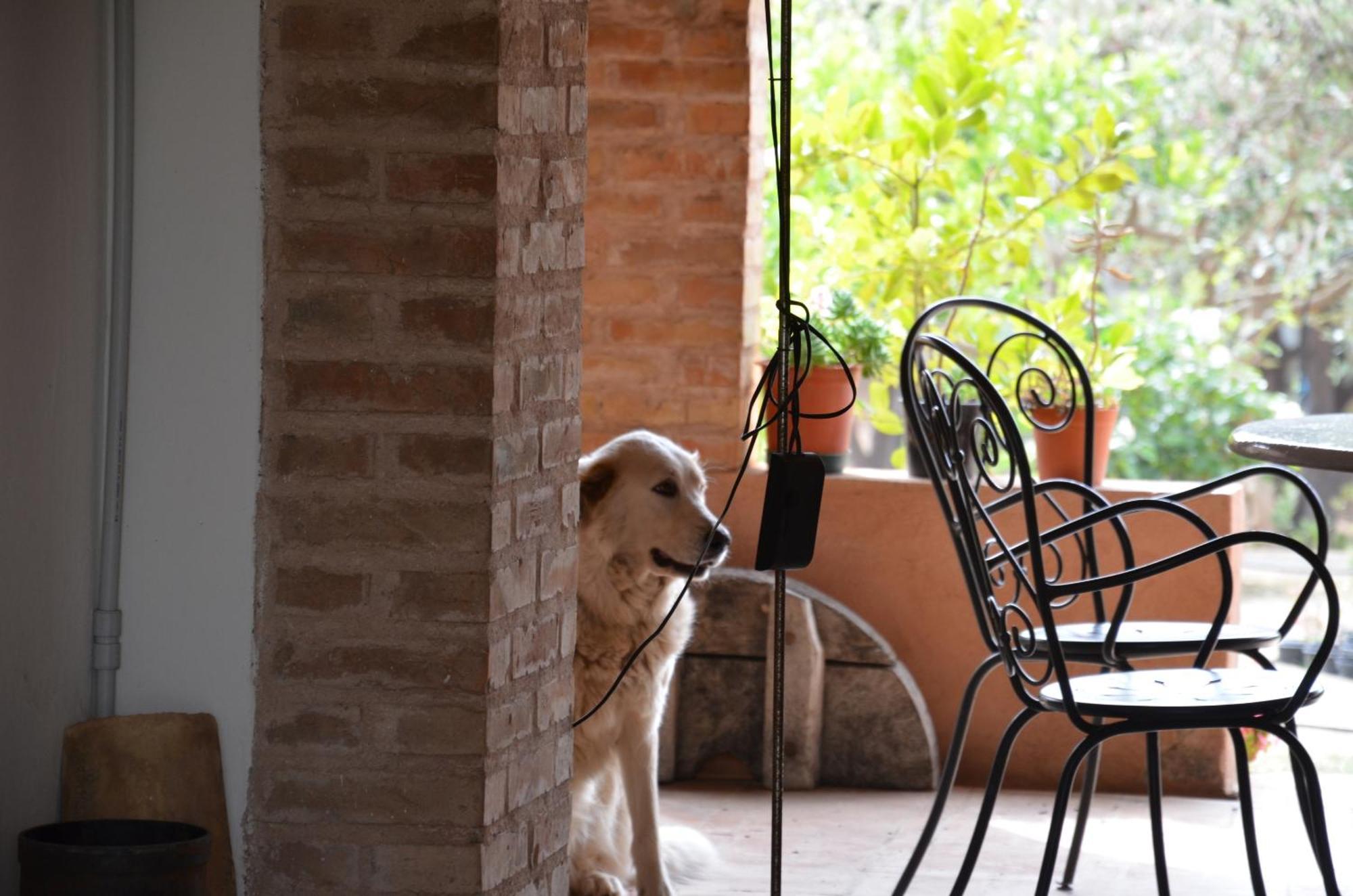 Borgo Piazza Bed & Breakfast Катандзаро Стая снимка
